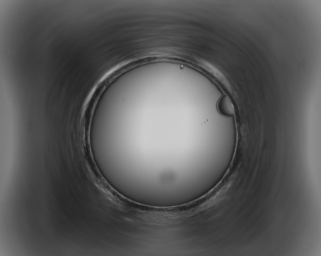 X0000086730931200704130744