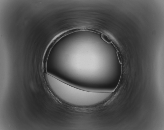 X0000086730932200704130744