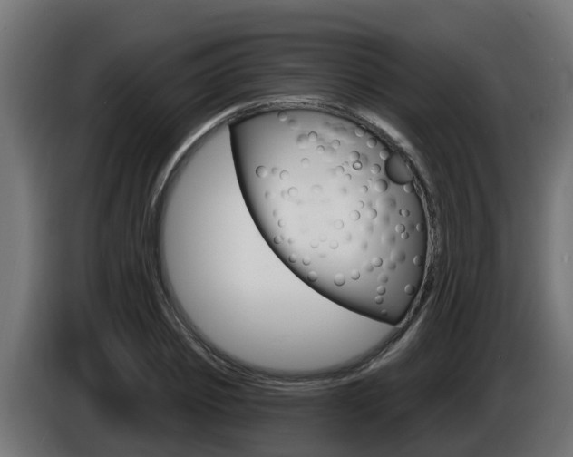 X0000086730933200704130744
