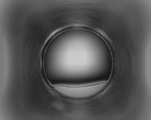 X0000086730934200704130744