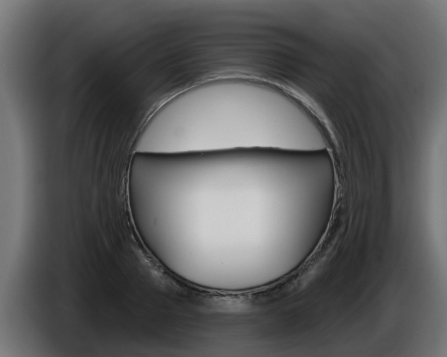 X0000086730937200704130744