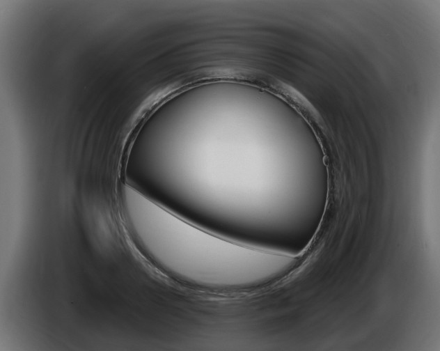 X0000086730938200704130744