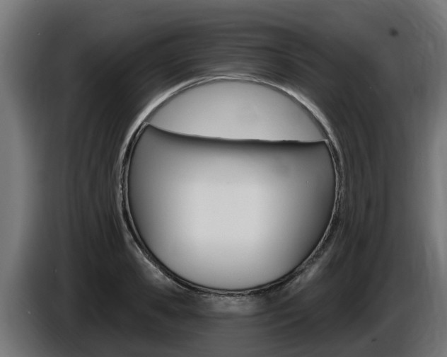X0000086730941200704130744