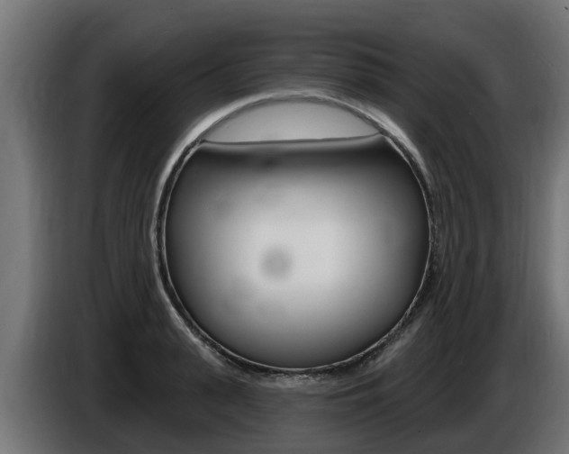 X0000086730943200704130744