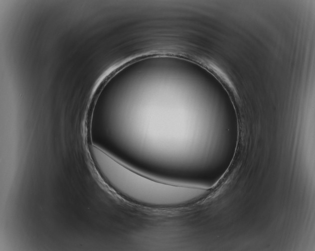 X0000086730944200704130744