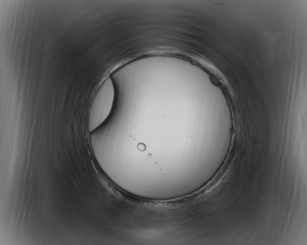 X0000086730945200704130744