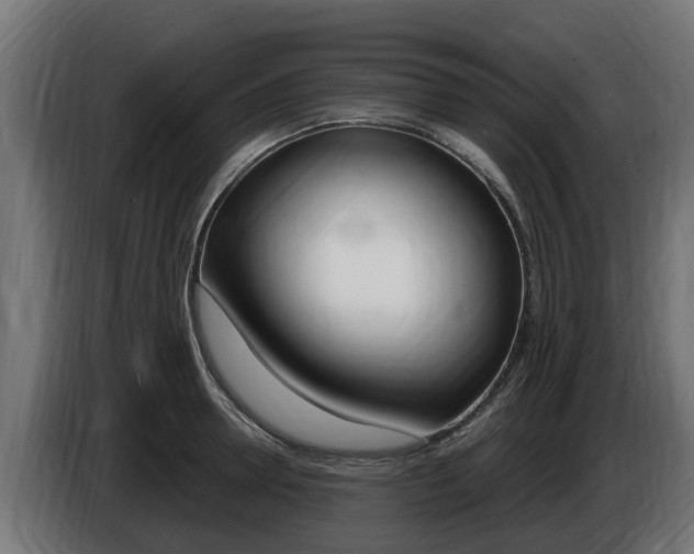 X0000086730946200704130744
