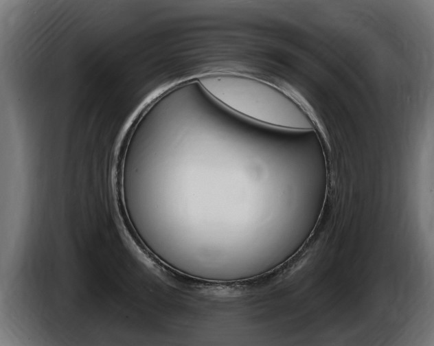 X0000086730947200704130744