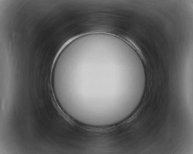 X0000086730948200704130744