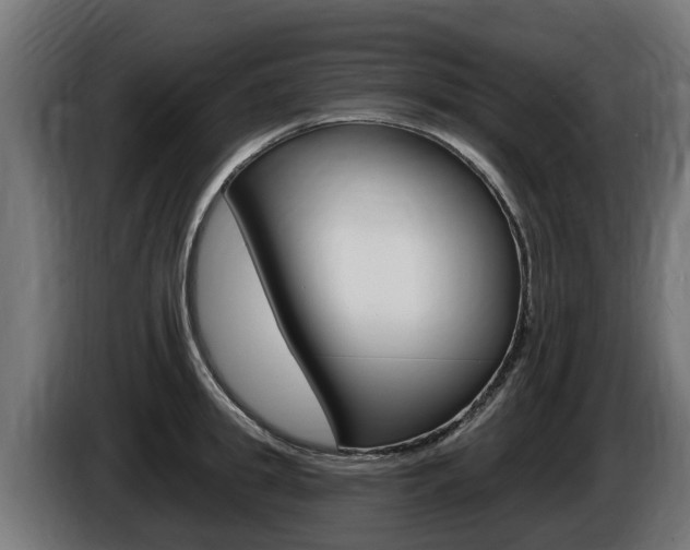 X0000086730949200704130744