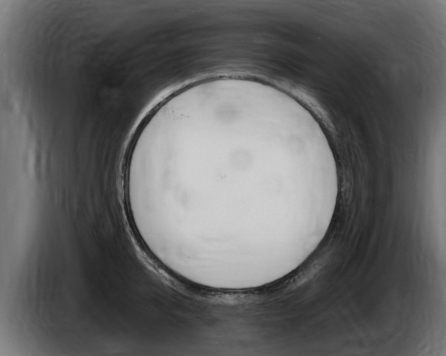 X0000086730950200704130744