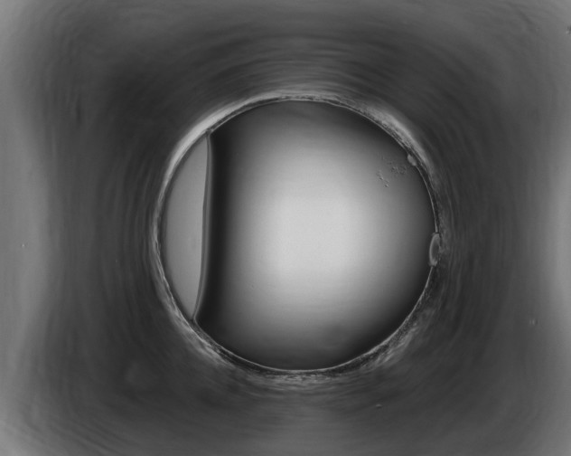 X0000086730952200704130744