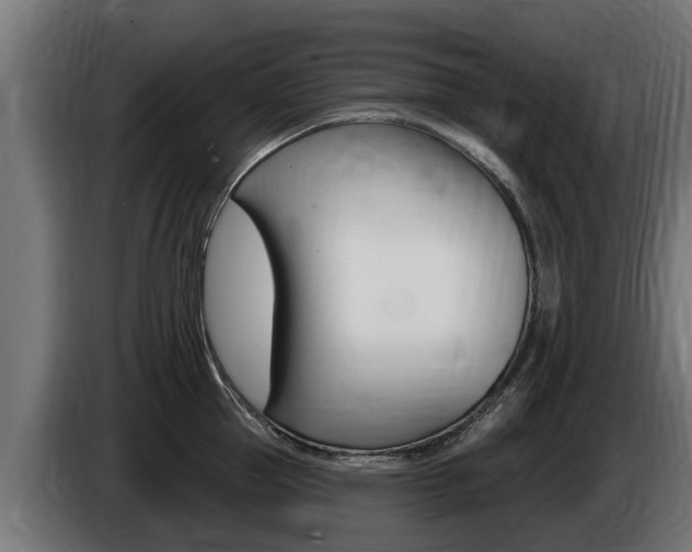 X0000086730953200704130744
