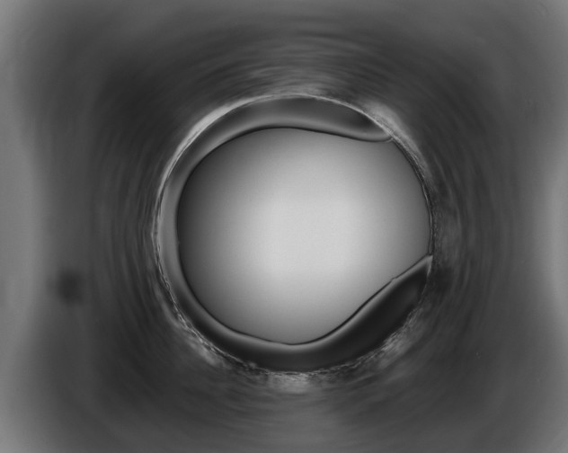 X0000086730956200704130744