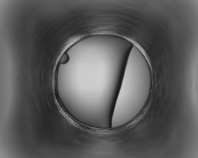 X0000086730957200704130744