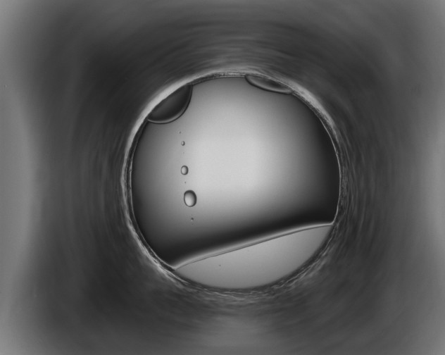 X0000086730959200704130744