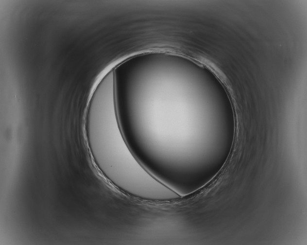 X0000086730960200704130744