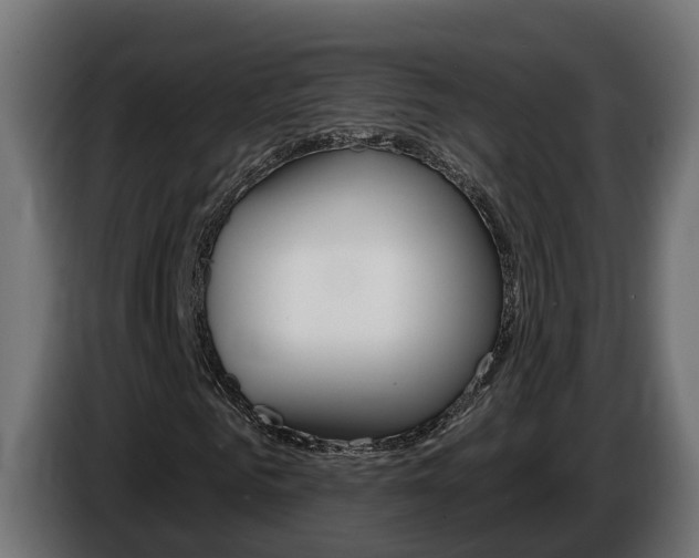 X0000086730961200704130744