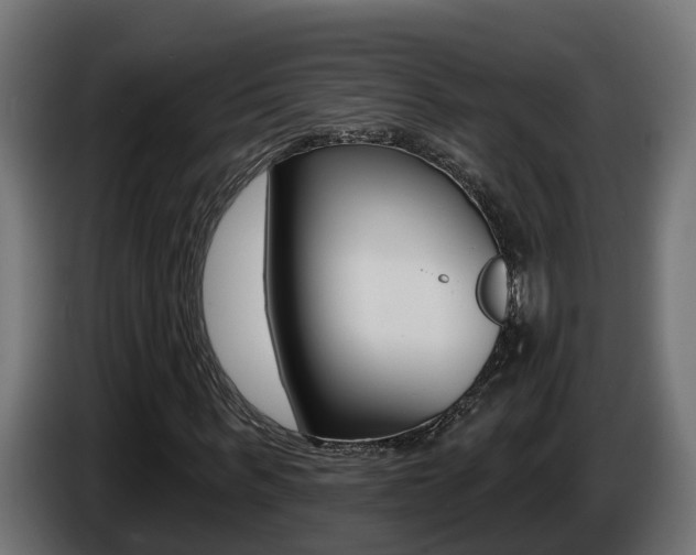 X0000086730963200704130743