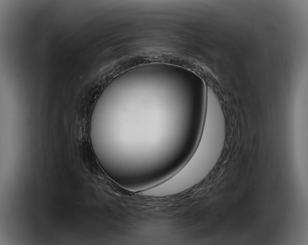 X0000086730965200704130743