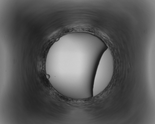 X0000086730966200704130743