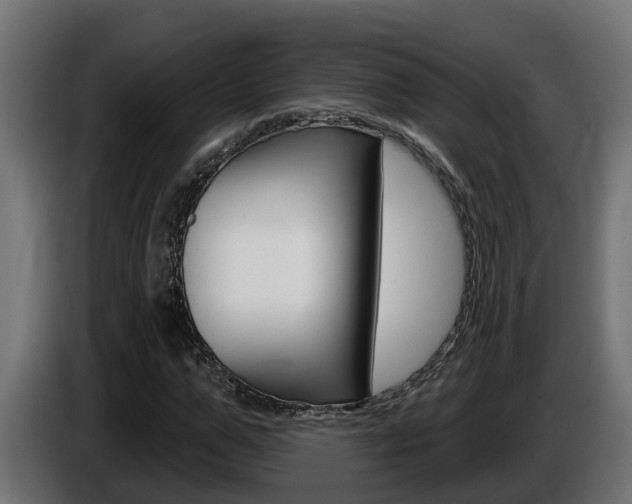 X0000086730967200704130743