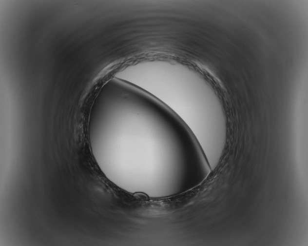 X0000086730968200704130743