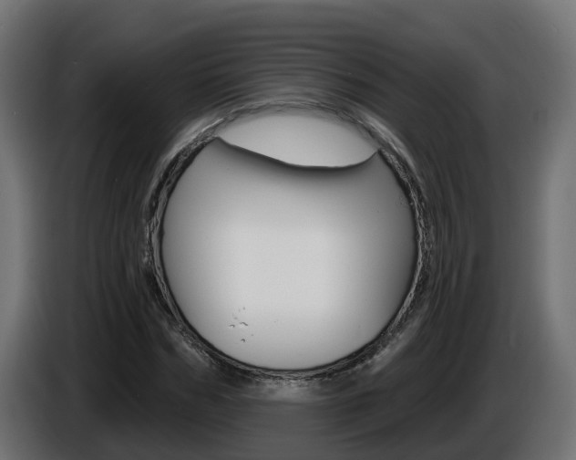 X0000086730970200704130743