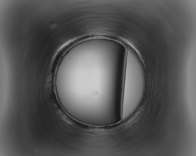 X0000086730971200704130743