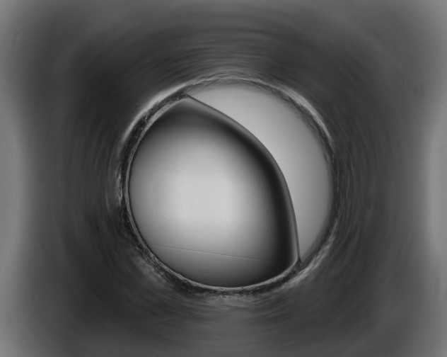 X0000086730973200704130743