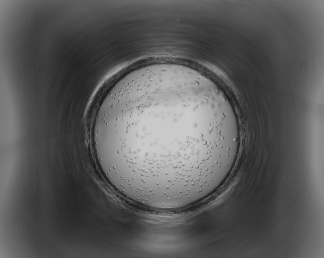 X0000086730974200704130743