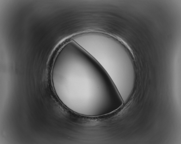 X0000086730975200704130743