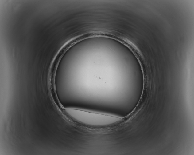 X0000086730976200704130743