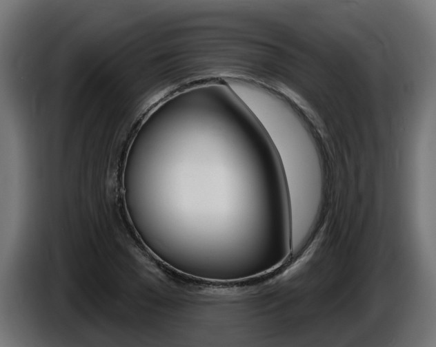 X0000086730977200704130743