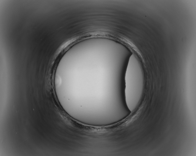 X0000086730978200704130743
