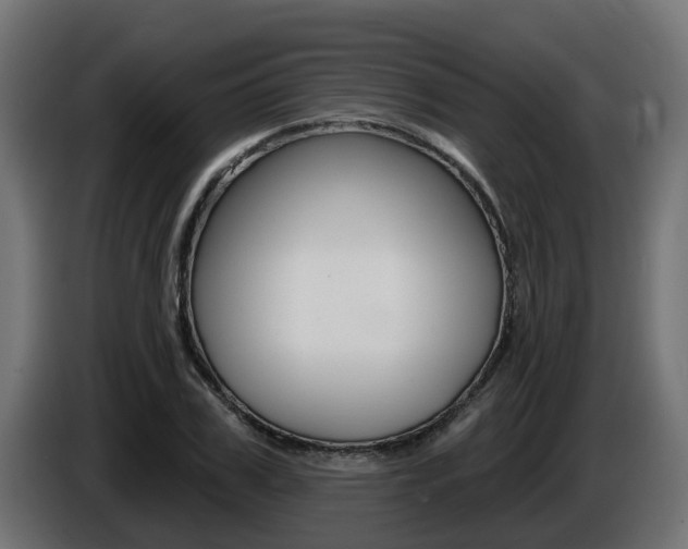 X0000086730979200704130743