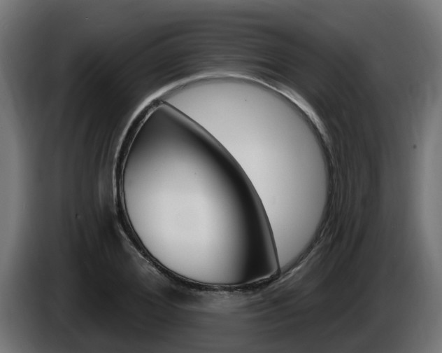 X0000086730980200704130743
