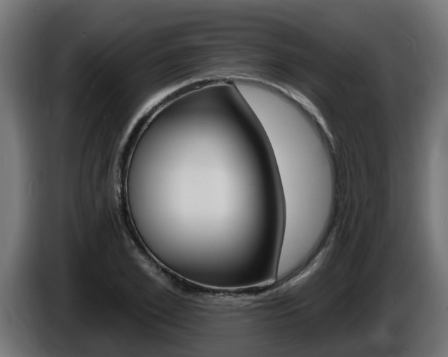 X0000086730981200704130743
