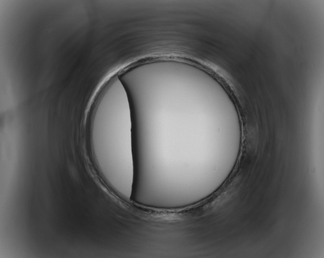 X0000086730982200704130743