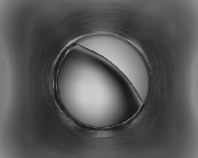 X0000086730984200704130743