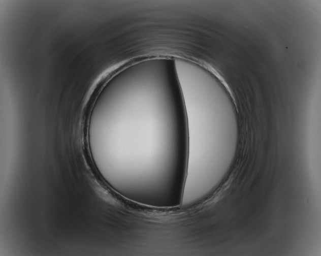 X0000086730987200704130743