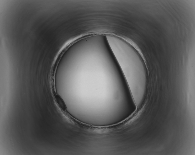 X0000086730989200704130743