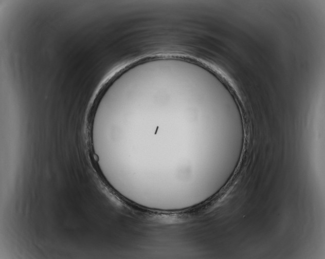 X0000086730990200704130743