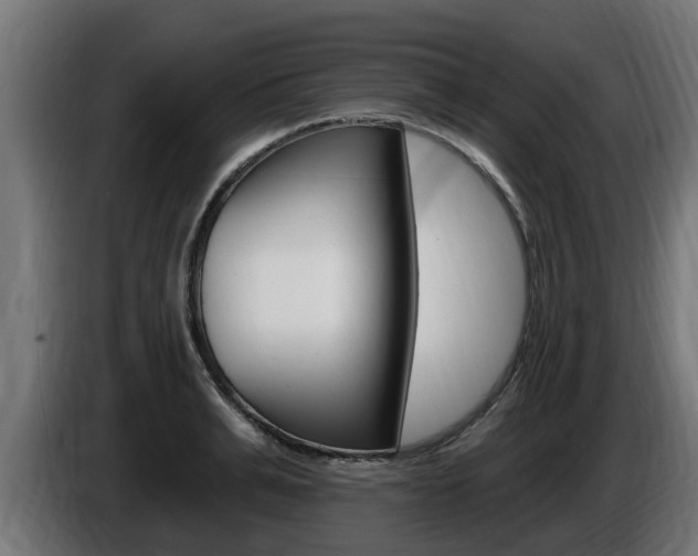 X0000086730991200704130743