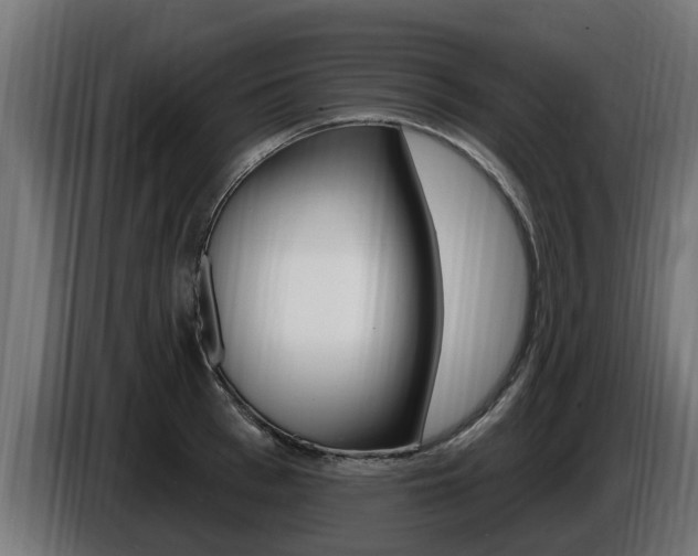 X0000086730993200704130743