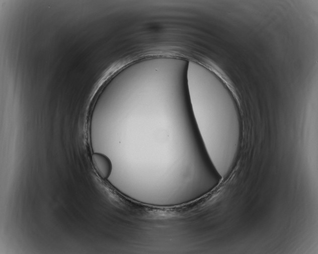 X0000086730994200704130743