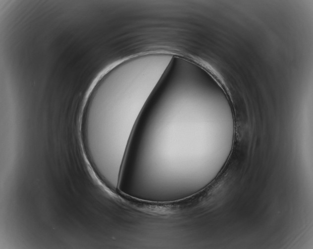 X0000086730995200704130743