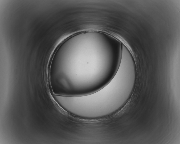 X0000086730996200704130743