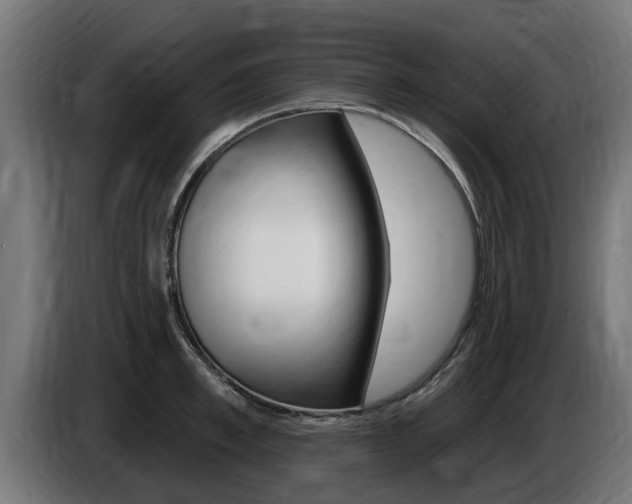 X0000086730997200704130743