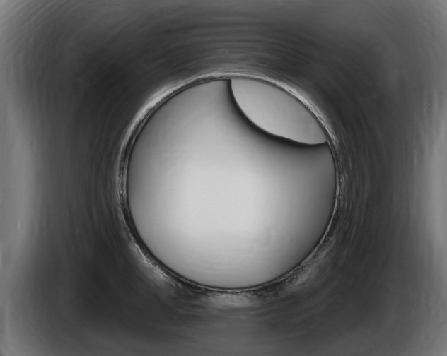 X0000086730998200704130743